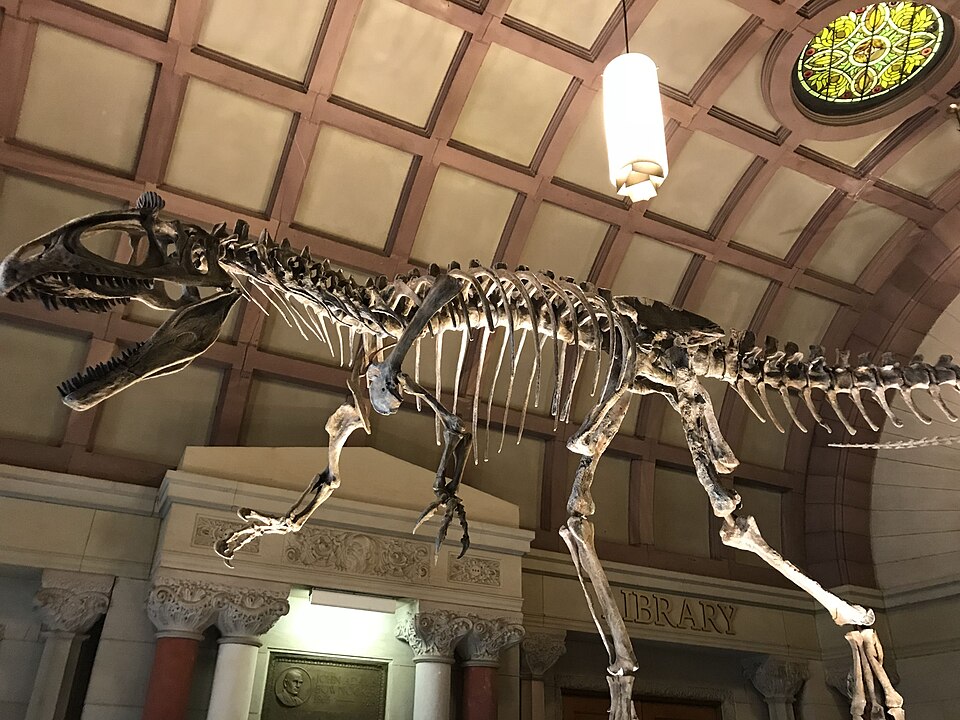 File:Orton Hall Dinosaur.jpg