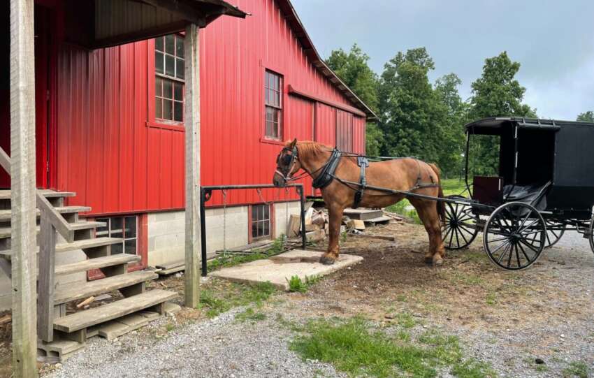 horse and buggy ohio amish country