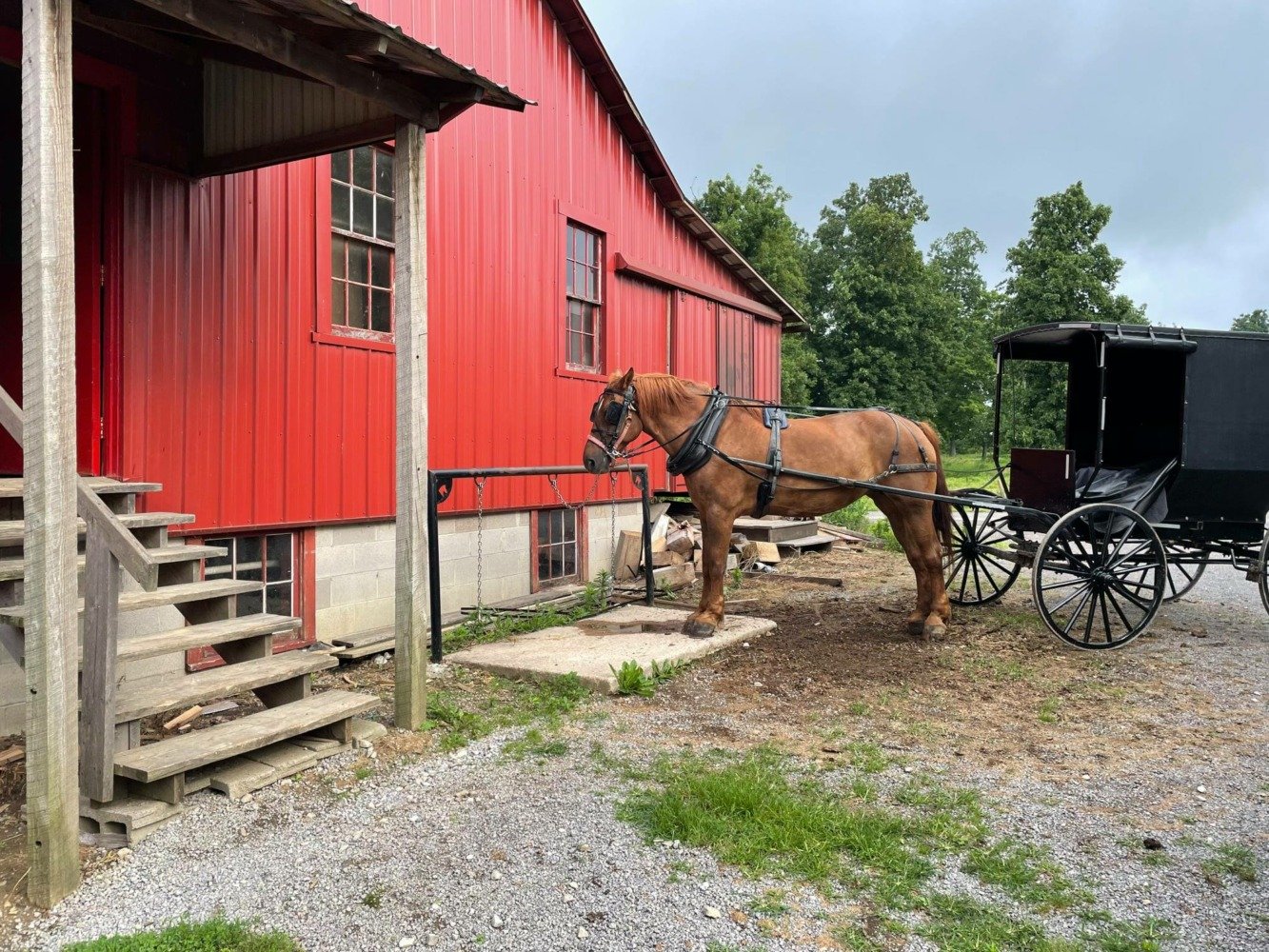 horse and buggy amish country