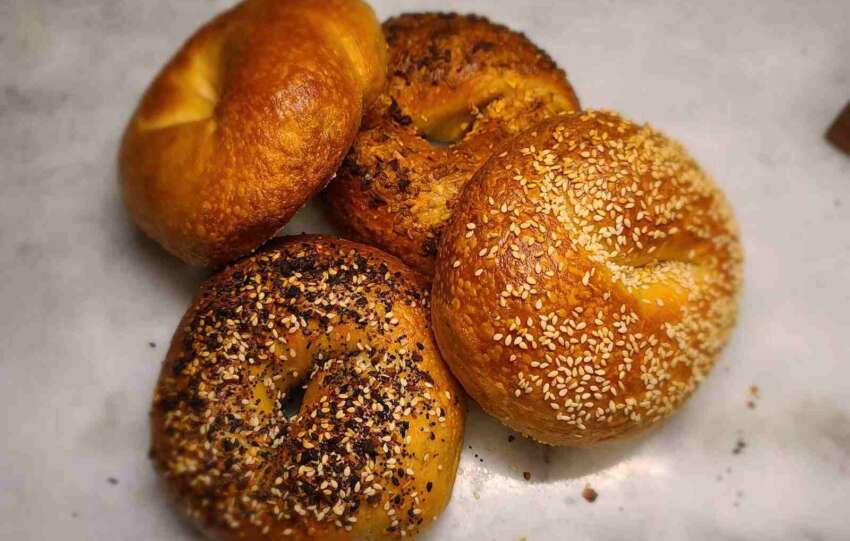 bears bagels