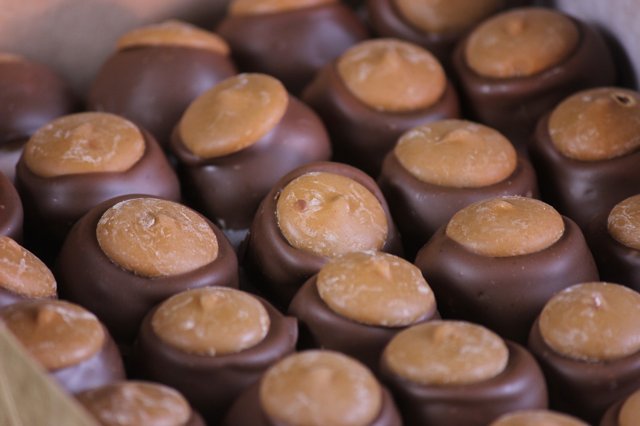 buckeye candy