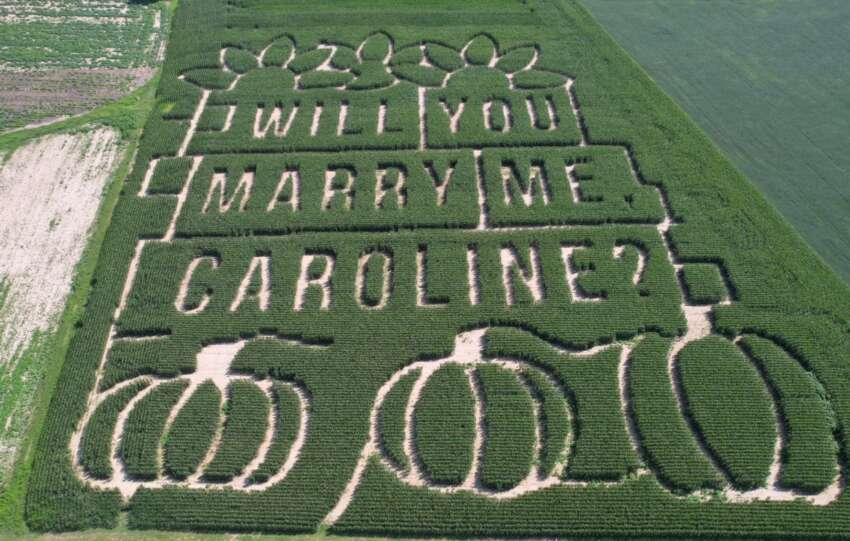 corn maze proposal