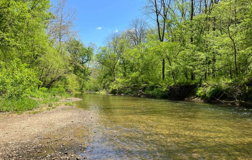 clear creek metro park creek