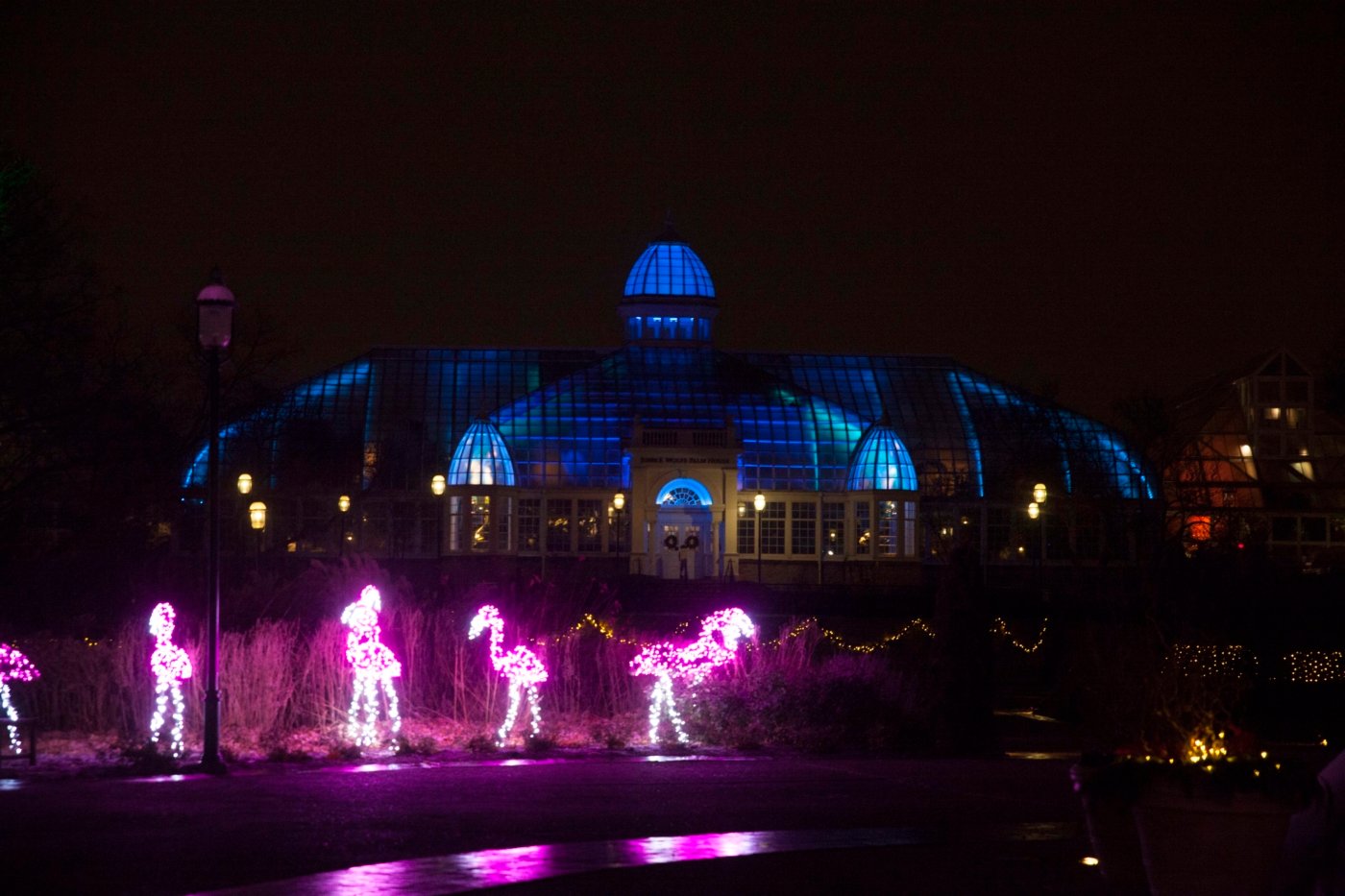 conservatory aglow light displays at franklin park conservatory