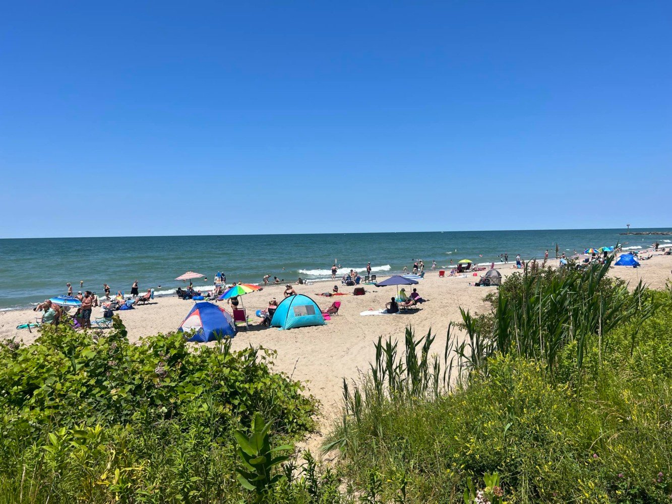 people at the beach