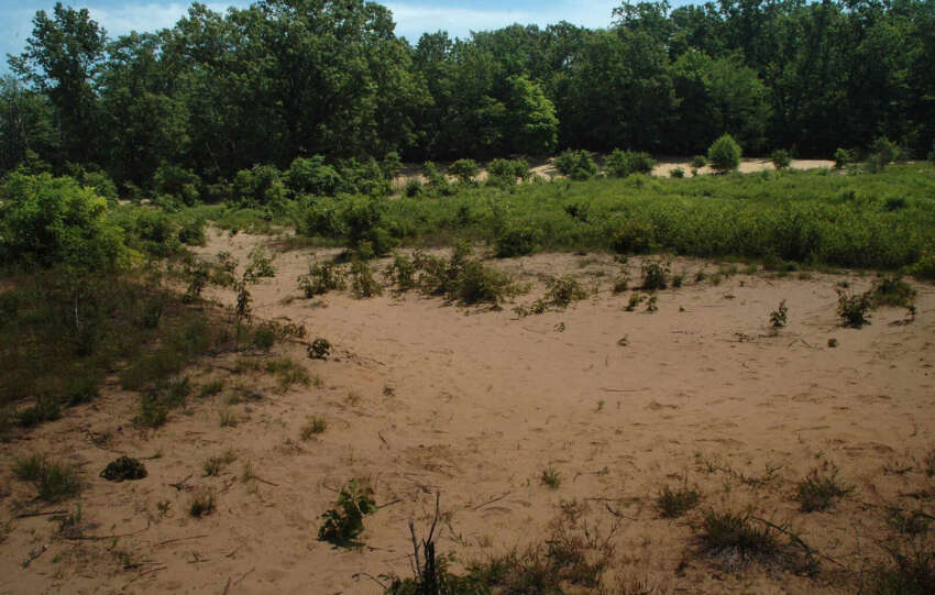 girdham road sand dunes