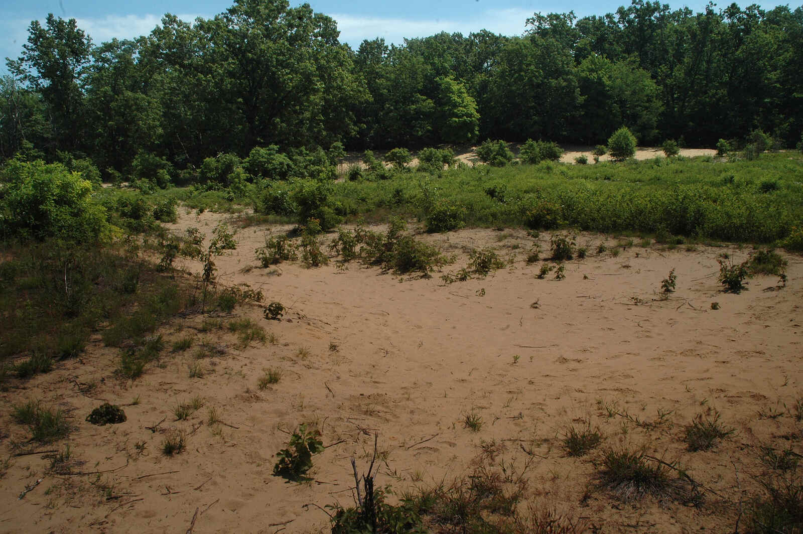 girdham road sand dunes