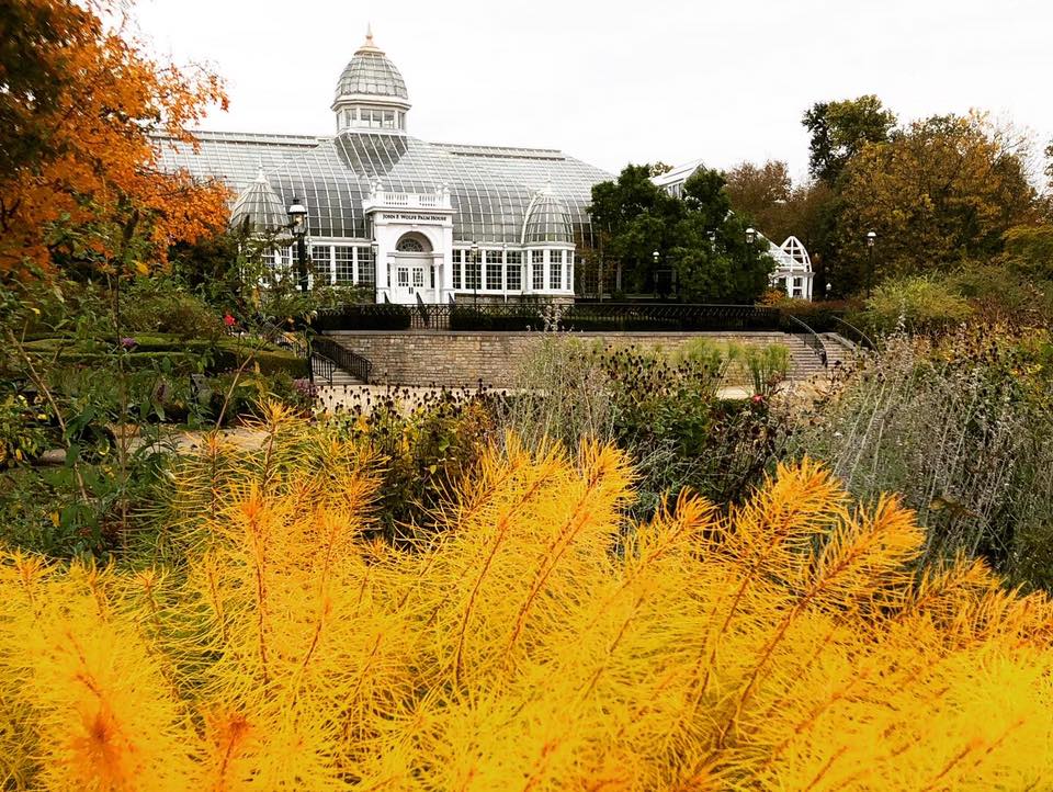 fall franklin park conservatory