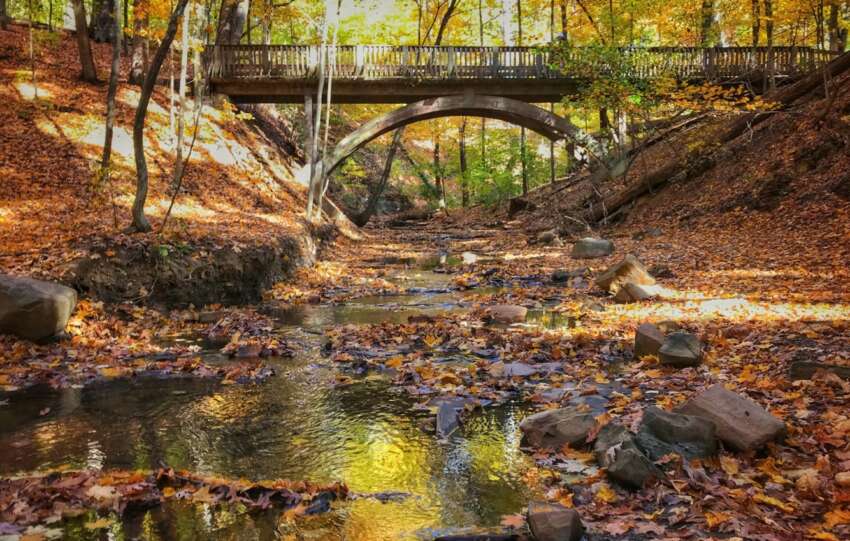 highbanks metro park bridge
