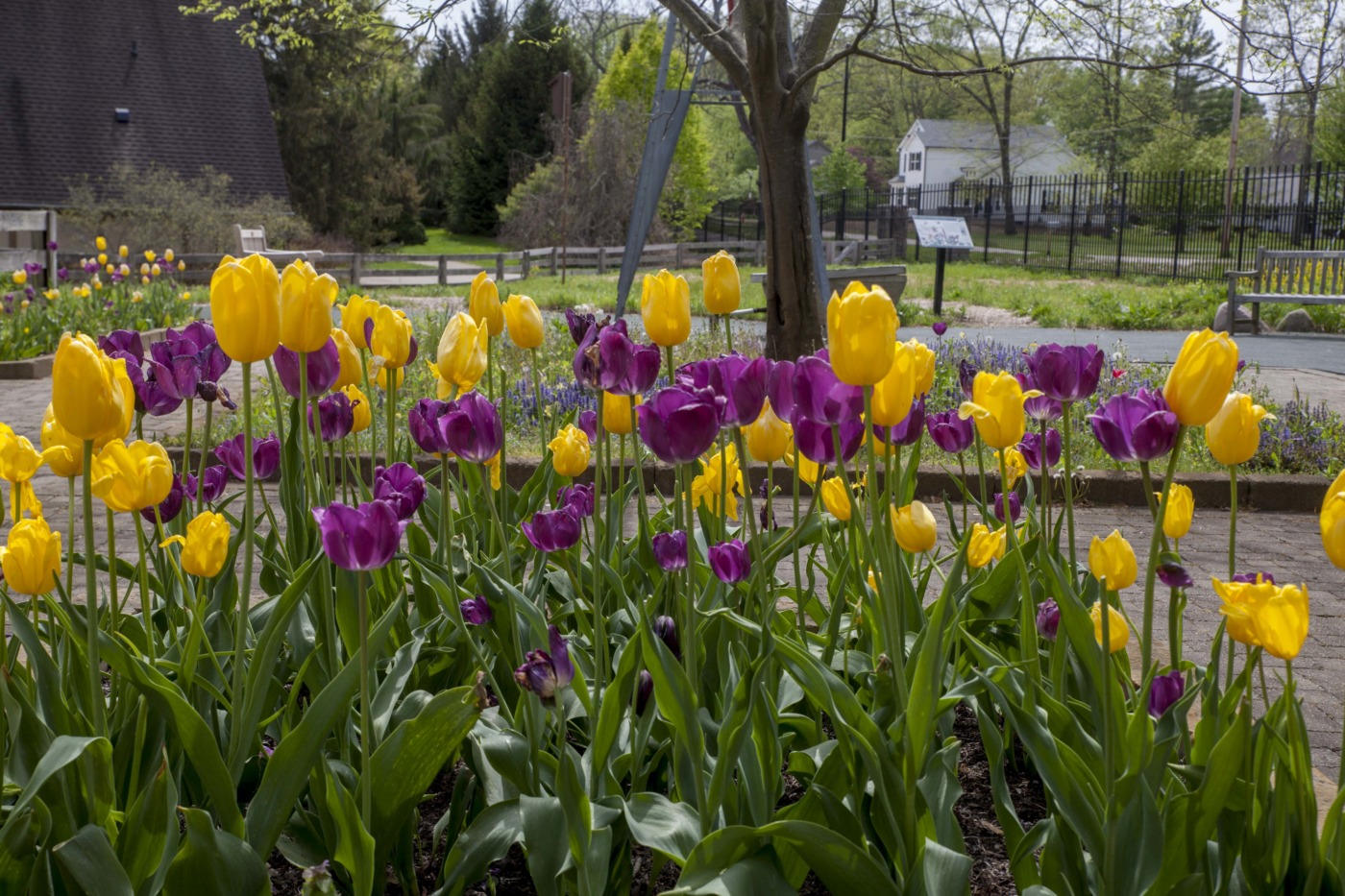 inniswood metro gardens