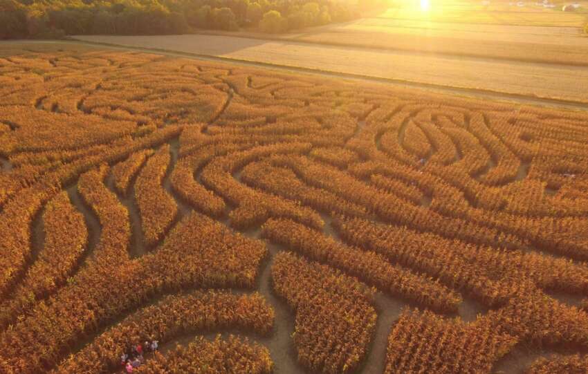 corn maze aerial ohio