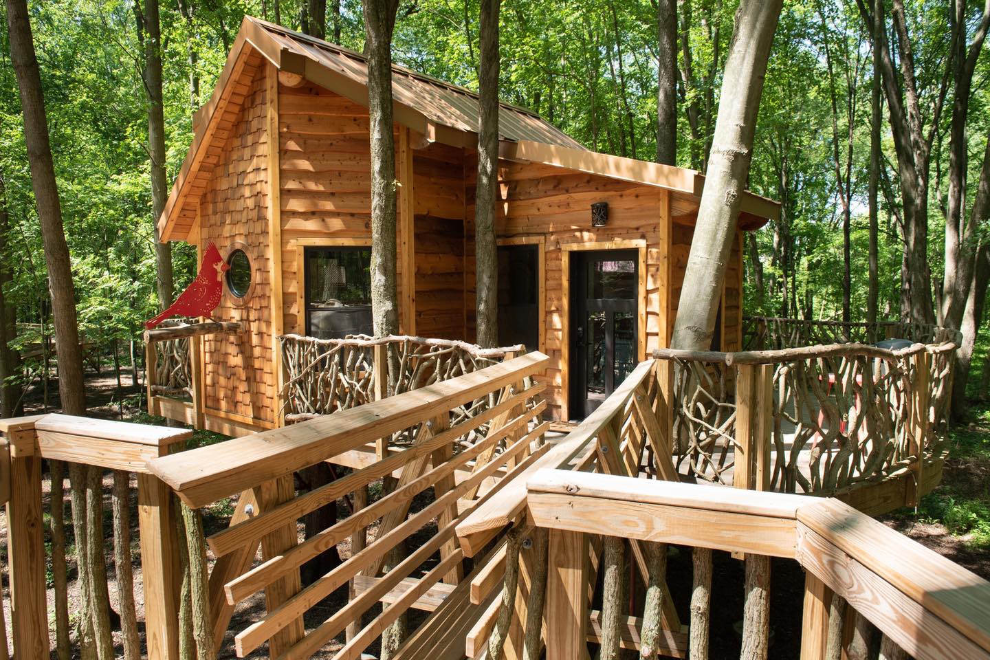 metroparks toledo treehouse