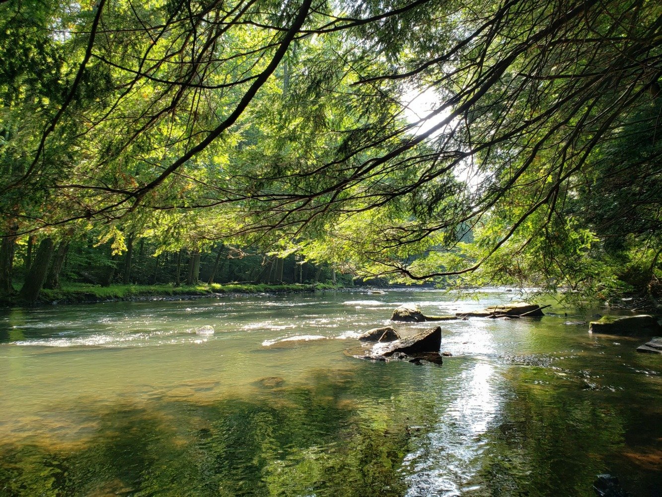 Mohican state park river