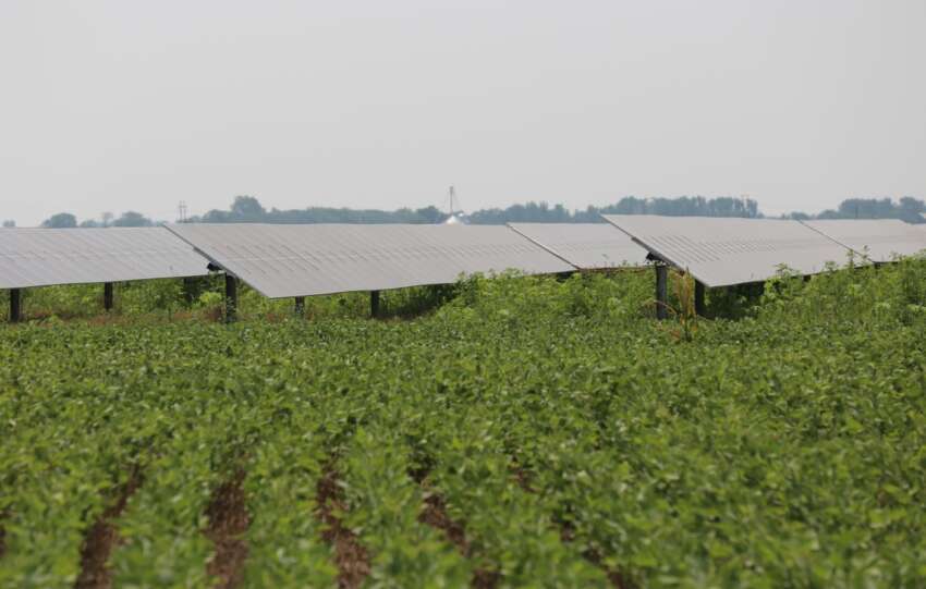 oak run solar project madison ohio