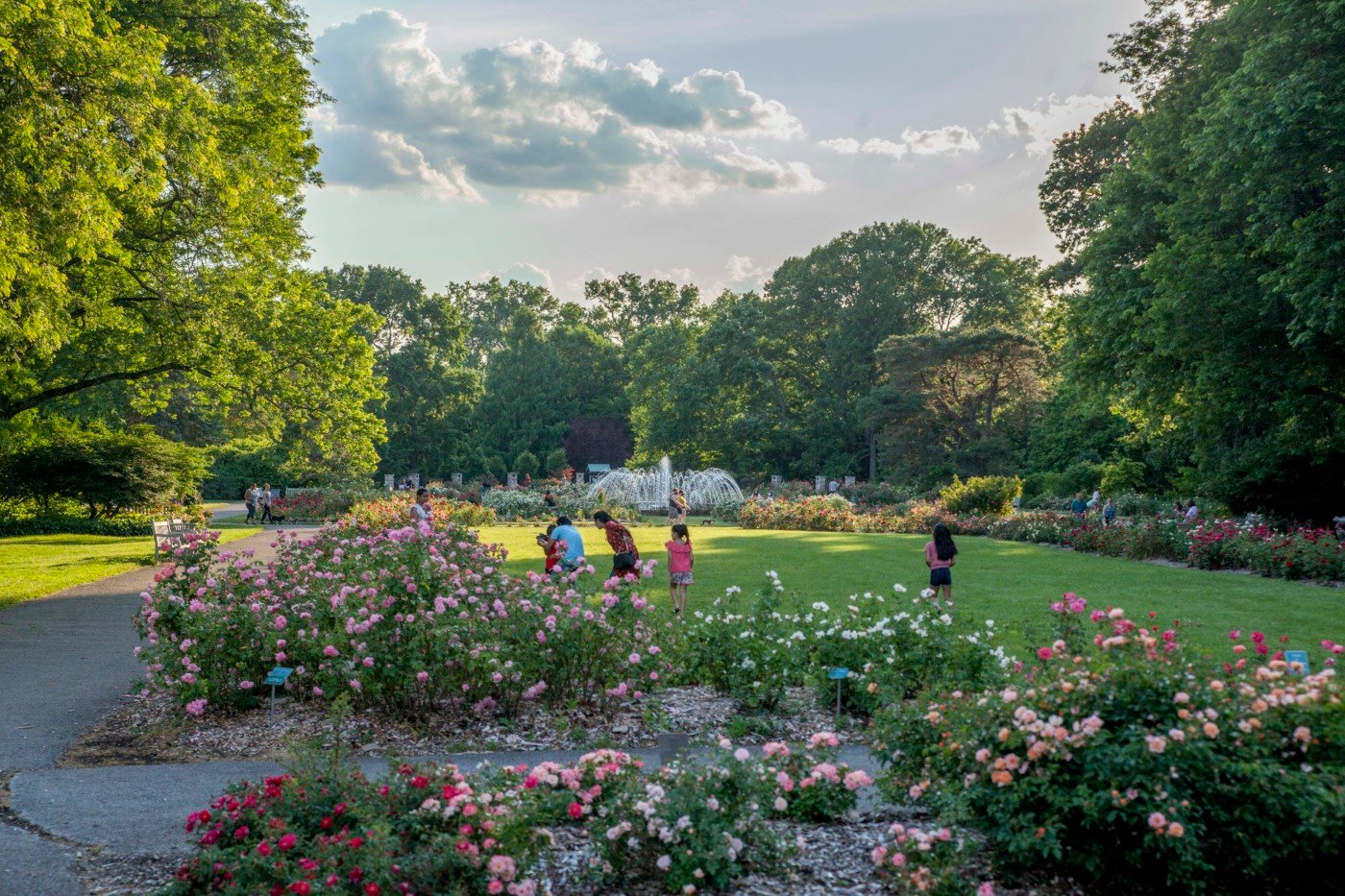 columbus park of roses