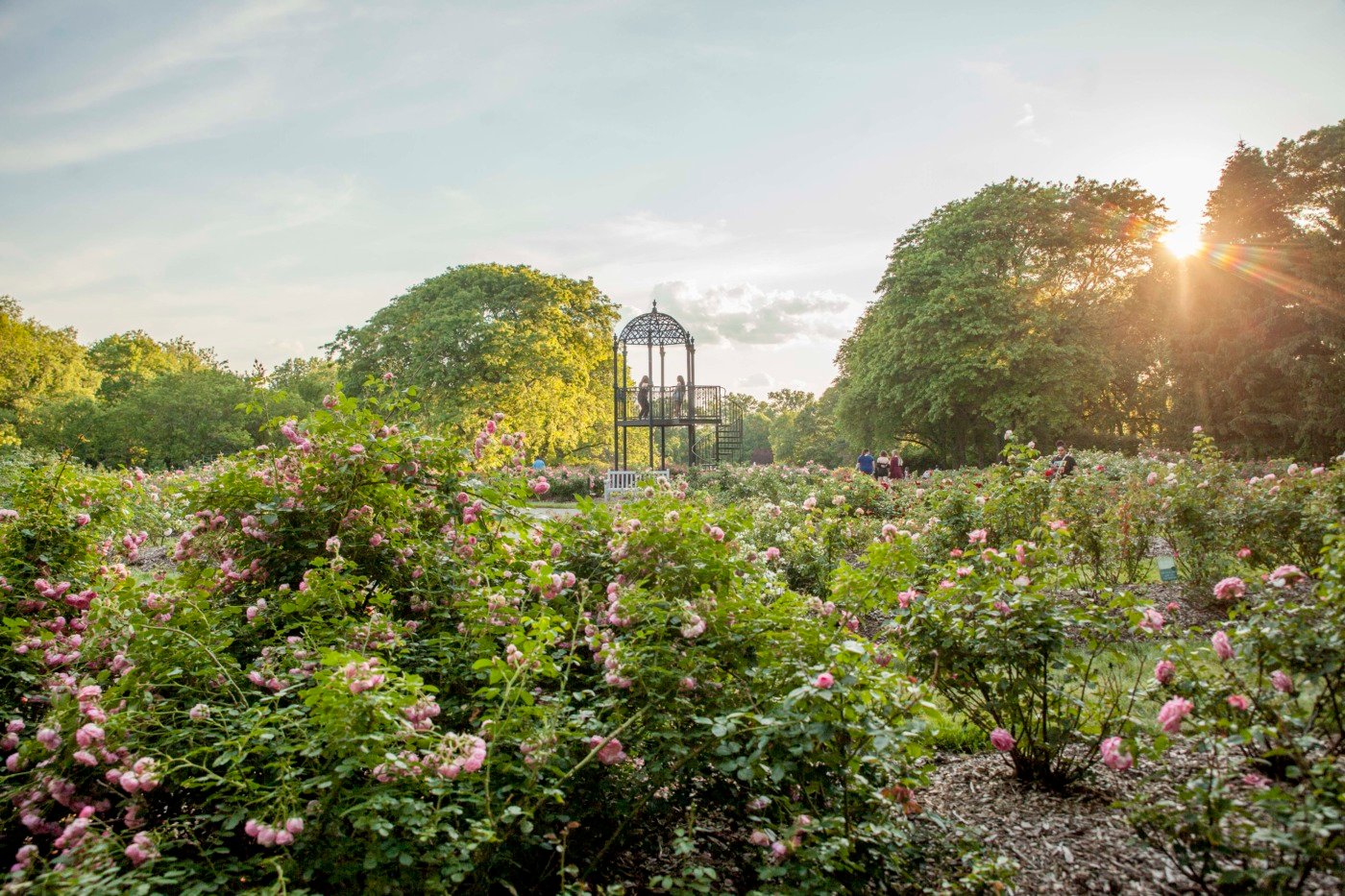 columbus park of roses