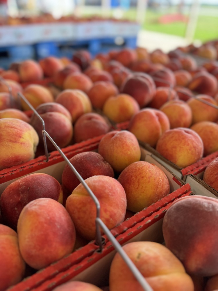 lynd fruit farm peach fest