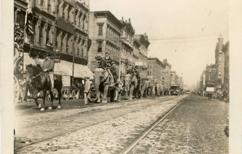 sells brothers circus parade of elephants