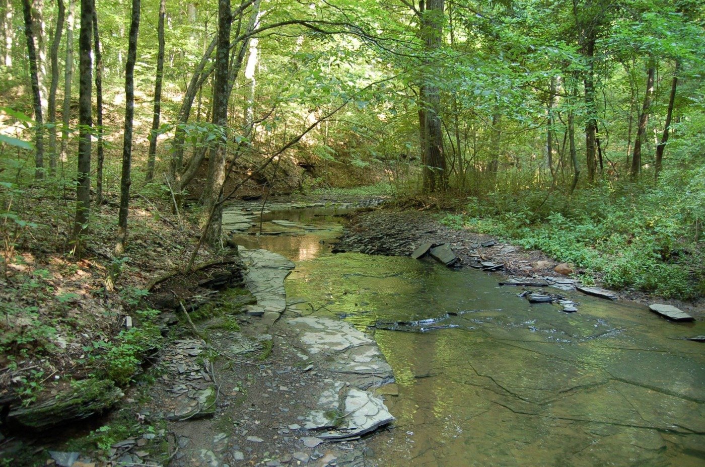 big run creek running through woods at shale hollow 