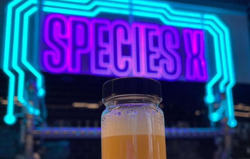 beer in front of neon sign