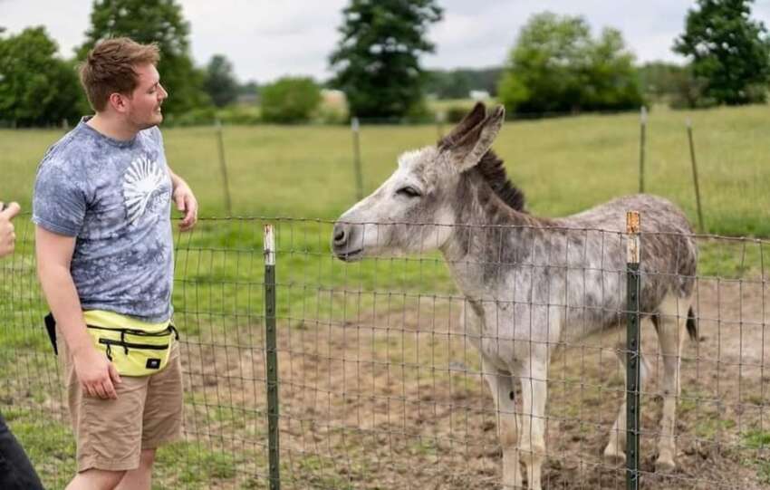 sunrise sanctuary volunteer