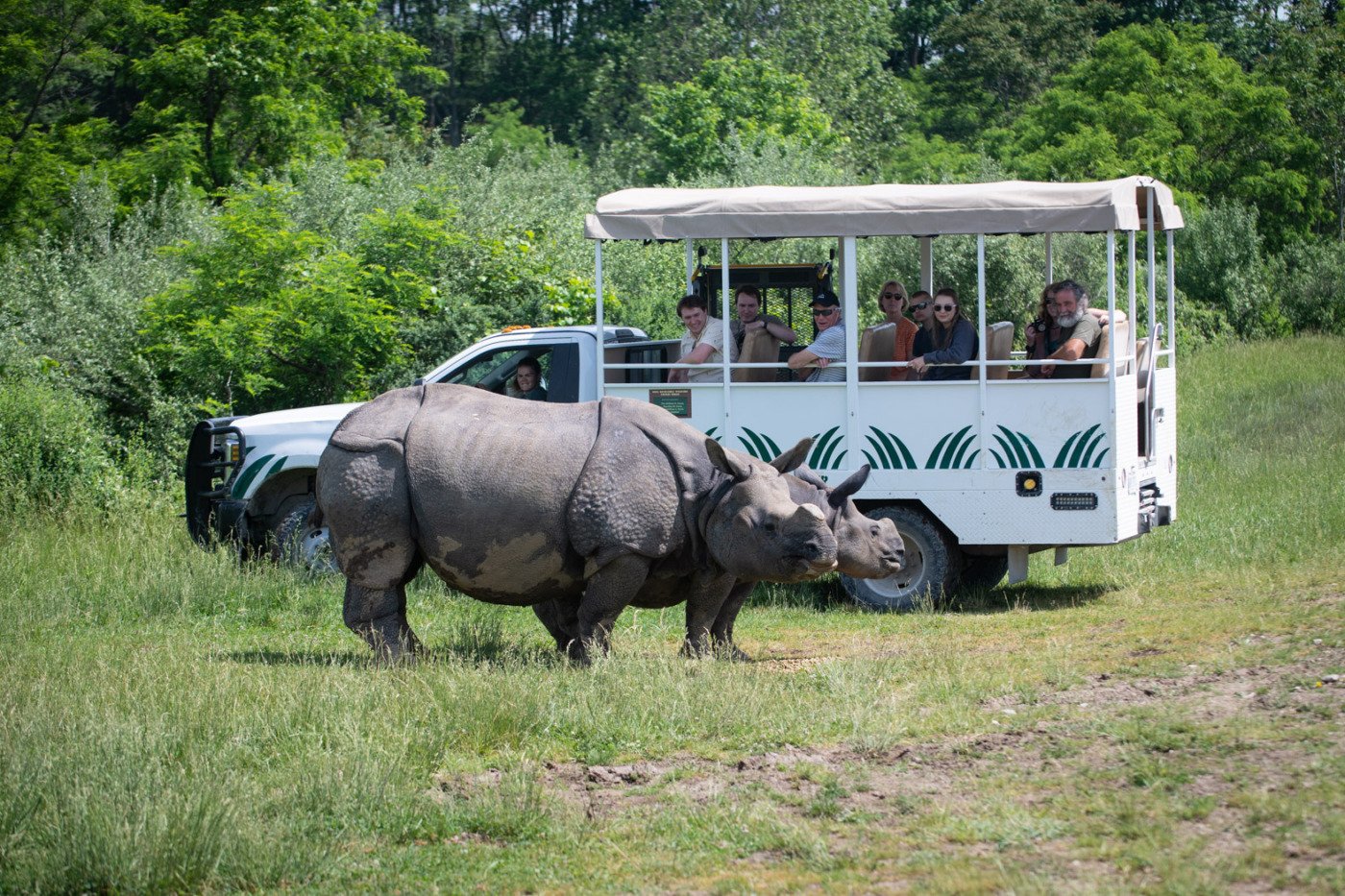 people on safari in ohio