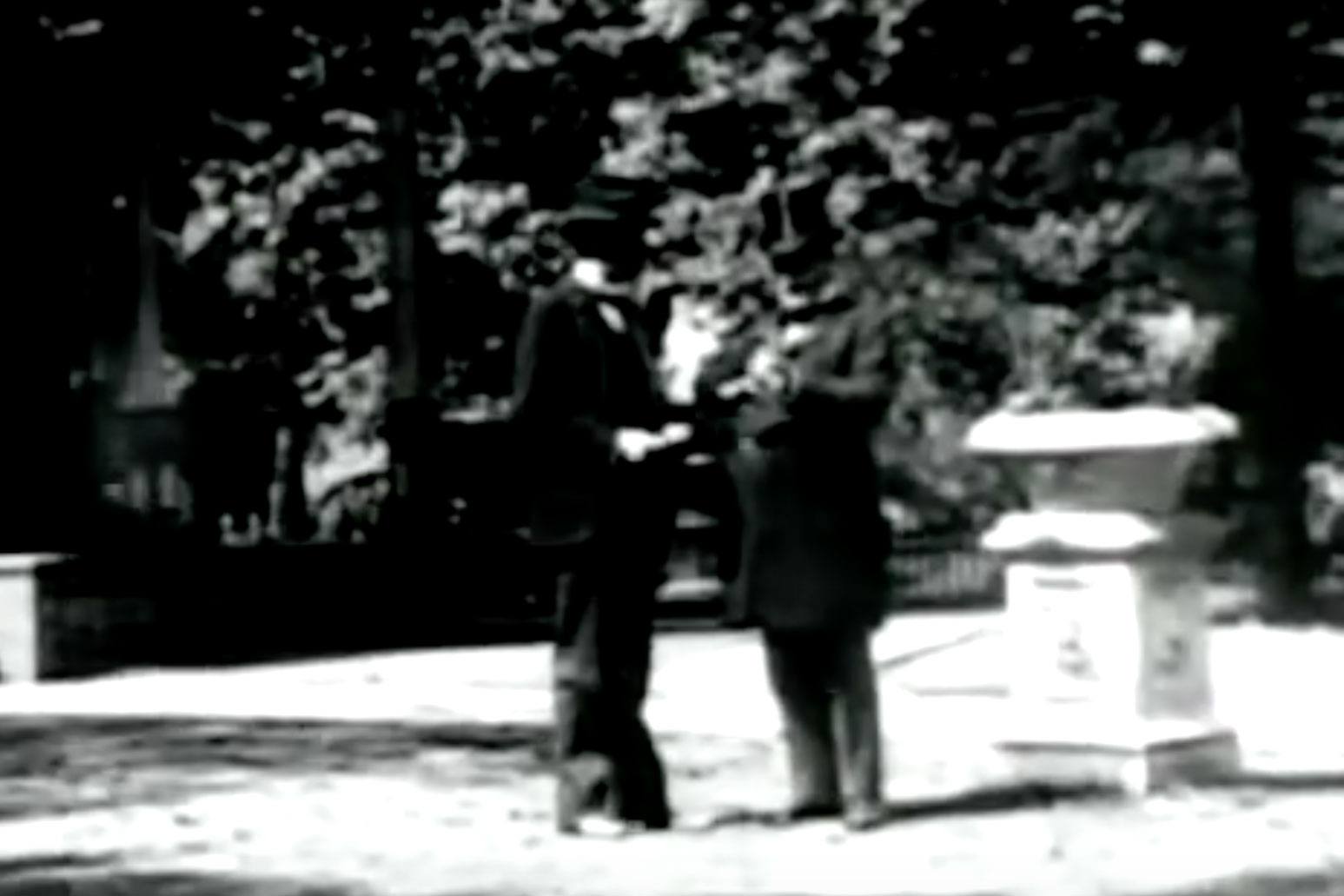 william mckinley on video