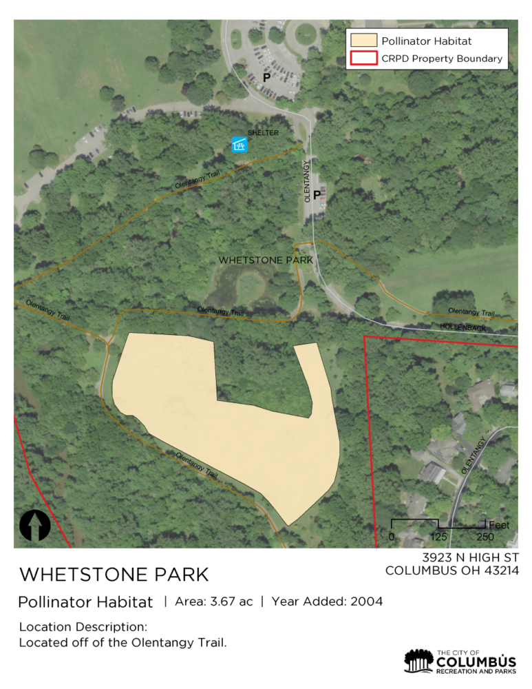 whetstone pollinator habitat